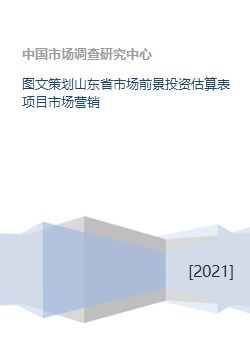 山東省市場前景與投資估算表項(xiàng)目市場營銷策劃